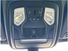 Vehicle Thumb #39