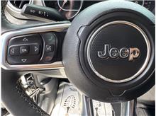 Vehicle Thumb #32