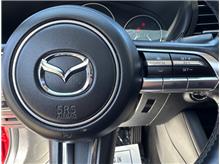 Vehicle Thumb #37