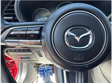 Vehicle Thumb #38