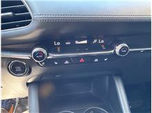 Vehicle Thumb #43