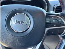 Vehicle Thumb #28