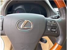 Vehicle Thumb #19