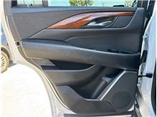 Vehicle Thumb #17