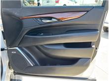 Vehicle Thumb #31