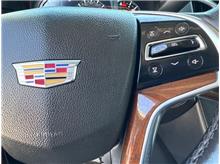 Vehicle Thumb #35