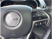 Vehicle Thumb #30