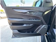Vehicle Thumb #13