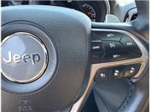 Vehicle Thumb #27