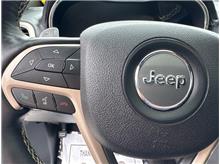 Vehicle Thumb #19
