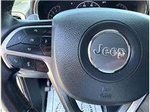 Vehicle Thumb #19