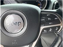 Vehicle Thumb #31