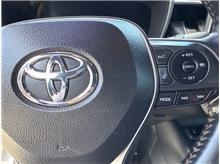 Vehicle Thumb #28