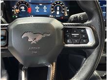 Vehicle Thumb #17