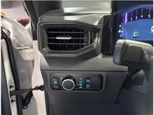 Vehicle Thumb #14