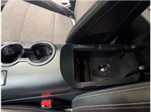 Vehicle Thumb #22