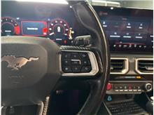 Vehicle Thumb #23
