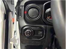 Vehicle Thumb #19