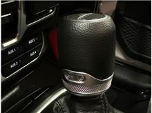 Vehicle Thumb #39