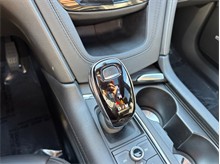 Vehicle Thumb #39
