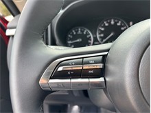 Vehicle Thumb #26