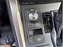 Vehicle Thumb #32