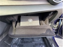 Vehicle Thumb #43