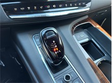 Vehicle Thumb #40