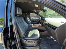 Vehicle Thumb #49
