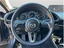 Vehicle Thumb #20