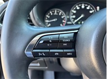 Vehicle Thumb #21
