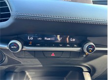 Vehicle Thumb #26
