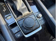 Vehicle Thumb #28