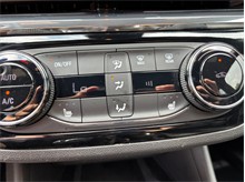 Vehicle Thumb #31