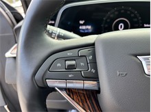 Vehicle Thumb #29