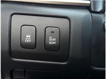 Vehicle Thumb #20