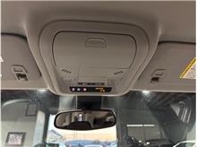 Vehicle Thumb #19