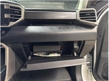 Vehicle Thumb #29