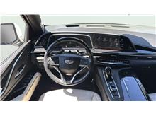 Vehicle Thumb #19