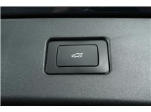 Vehicle Thumb #19