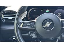 Vehicle Thumb #29