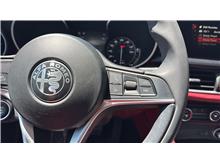 Vehicle Thumb #26