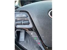 Vehicle Thumb #15