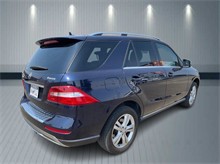 Vehicle Thumb #4