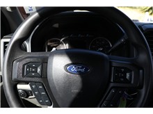 Vehicle Thumb #12
