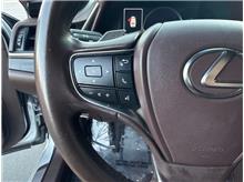 Vehicle Thumb #25