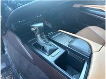 Vehicle Thumb #29