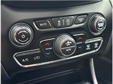 Vehicle Thumb #29