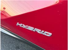 Vehicle Thumb #42