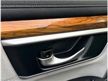 Vehicle Thumb #21